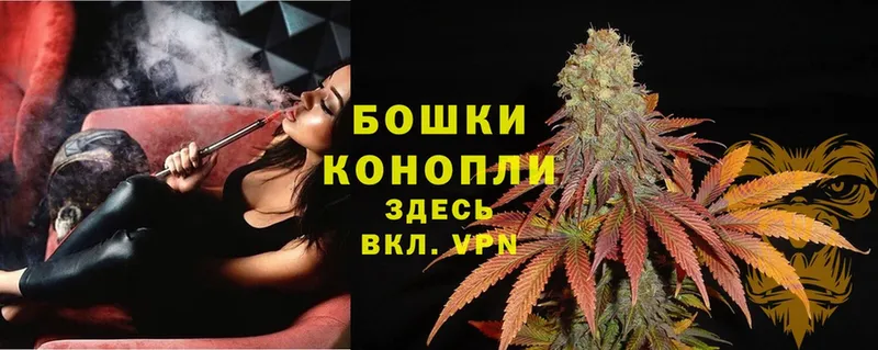 Шишки марихуана Amnesia  купить наркотики сайты  Оленегорск 